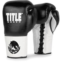 Боксерские перчатки TITLE Boxeo Authentic Pro Fight BAPFG черные