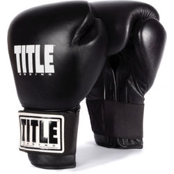 Боксерские перчатки TITLE Eternal Pro кожа (TETGV, черные)