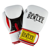 Перчатки боксерские Benlee DRACO (199116, белый)