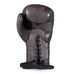 Боксерские перчатки Bad Boy Legacy 2.0 Lace Up (240029, Коричневый)