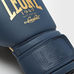 Боксерские перчатки Leone Mono Blue (500118, Синий)