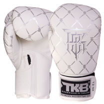Перчатки боксерские кожаные на липучке TOP KING Chain (TKBGCH, Белый-серебряный)