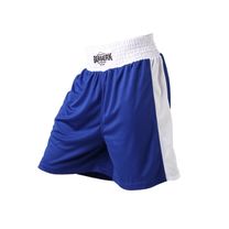 Боксерские шорты Berserk Sport Boxing blue (FS1211BLU, Синий)