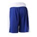 Боксерські шорти Berserk Sport Boxing blue (FS1211BLU, Синій)
