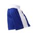 Боксерські шорти Berserk Sport Boxing blue (FS1211BLU, Синій)