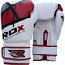 Боксерські рукавиці RDX Rex Leather Red