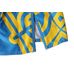 Шорты для ММА Berserk Sport HETMAN blue (SH5430Bl, Сине-Желтый)