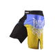 Шорти для MMA UKRAINE FIGHTER black