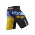 Шорты для MMA UKRAINE FIGHTER black Berserk Sport