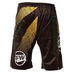 Шорты для ММА Tatami Kids Velocity No Gi Shorts