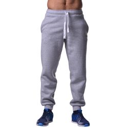 Штани спортивні Berserk Sport PREMIUM grey (fleece) (P0999L, Сірий)