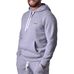 Худі спортивна Berserk Sport PREMIUM grey (fleece) (ST7890L, Сірий)