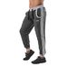 Штаны спортивные Berserk Sport COMPETITOR JOGGER dark grey (P1065DG, Серый)