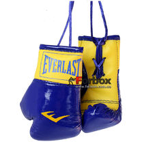 Сувенірні рукавиці Everlast на шнурках для авто (1381, синьо-жовті)