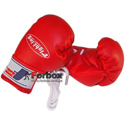 Сувенірні рукавиці Mini Fighting Sports (WINMBG, червоні)