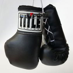 Боксерські рукавички TITLE для автографа 18см на шнурках (MRCG, чорні)