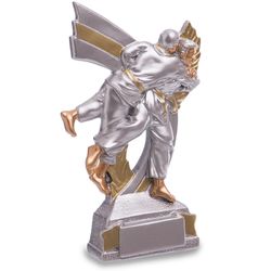Статуетка наградна спортивна Дзюдо (C-4583-B6)