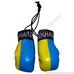 Сувенірні боксерські рукавиці Україна (FB-5028, синьо-жовті)
