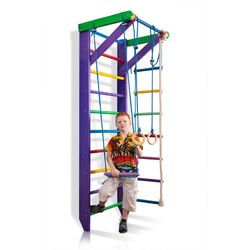 Спортивний куточок SportBaby (Карусель 2-220)