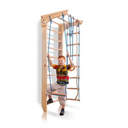 Дитячий спортивний куточок SportBaby (Kinder 2-220)