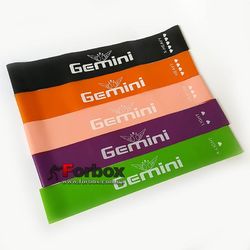 Стрічки для фітнесу Gemini (набір) 5 шт в комплекті різного опору (LFNB)