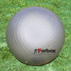 М'яч для фітнесу (фітбол) гладкий глянсовий 65см Zelart (FI-1980-65, сірий)