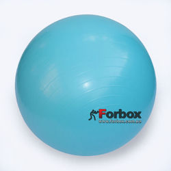 М'яч для фітнесу (фітбол) гладкий глянсовий 75см Zelart (FI-1981-75, блакитний)