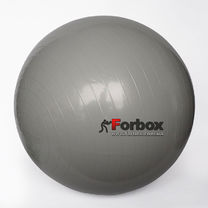Мяч для фитнеса (фитбол) гладкий глянцевый 75см Zelart (FI-1981-75, серый)