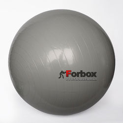 М'яч для фітнесу (фітбол) гладкий глянсовий 75см Zelart (FI-1981-75, сірий)