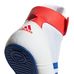 Обувь для борьбы Adidas Борцовки Havoc (BD7129, бело-сине-красные)