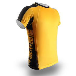 Рашгард Ode to the Dragon short sleeve PunchTown