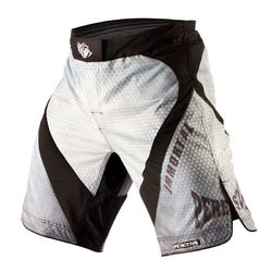 Шорти Peresvit Immortal Fightshorts Snowstorm