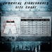 Шорты Peresvit Legend Fightshorts Metallic