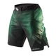 Шорты Peresvit Legend Fightshorts Forest Green