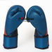 Перчатки боксерские Speed 300 кожаные Adidas (ADISBG300, синие)