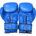 Рукавиці для боксу Everlast American Star (BGEAS, червоні)