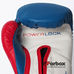 Боксерские перчатки Everlast PowerLock из PU (P00000728, красно-синий)