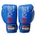 Боксерские перчатки Firepower (FPBGA1N-BL, синие)