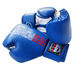 Боксерские перчатки Firepower (FPBGA1N-BL, синие)
