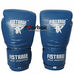 Боксерські рукавиці Fistrage шкіряні (VL-5561-BL, синій)