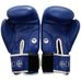 Боксерские перчатки Green Hill Tiger с лицензией AIBA (BGT-2010a, синие)