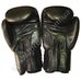 Перчатки боксерские Green Hill Punch 2 (BGP-2007, черные)