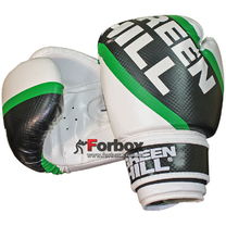 Боксерские перчатки Passion Green Hill (BGP-2221, бело-зеленые)