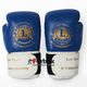 УЦЕНКА Боксерские перчатки VIP кожа Lev (1303-blwh, сине-белые)