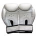 Боксерські рукавиці SportKo вініл (пд2, білі)