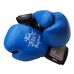 Боксерські рукавиці Thai Professional (TPBG5VL-BL, сині)