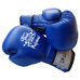 Боксерские перчатки Thai Professional (TPBG3-BL, синие)