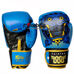 Боксерський набір 4 в 1 TWN Fairtex (BO-6662-BL, синій)