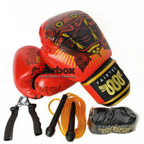 Боксерський набір 4 в 1 TWN Fairtex (BO-6662-R, червоний)