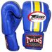 Боксерские перчатки Twins (FBGV-3, кожа синие)